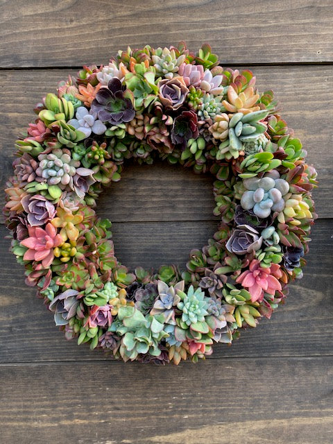 4/26 Succulent Wreath Workshop