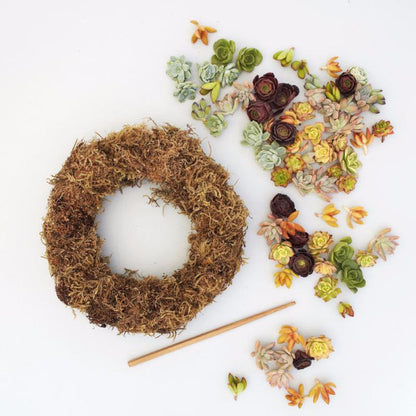 4/26 Succulent Wreath Workshop