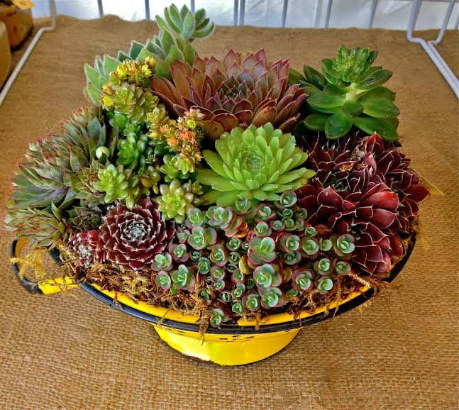 6/21 Funky Junk Container Class