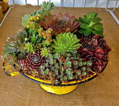 6/21 Funky Junk Container Class