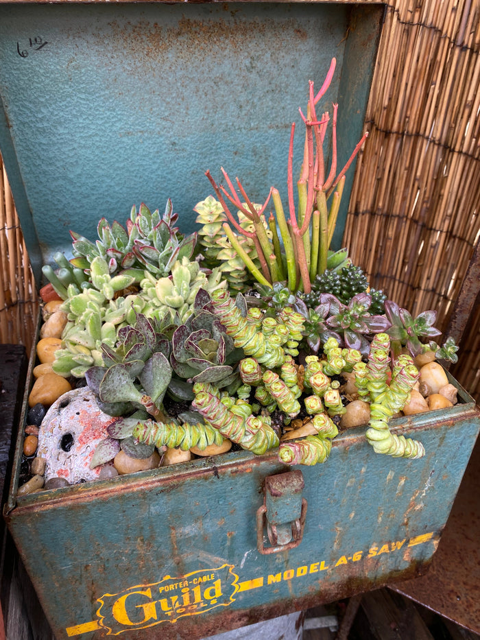 6/21 Funky Junk Container Class