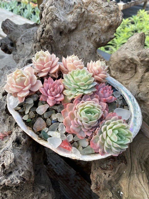 6/21 Funky Junk Container Class