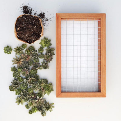 6/7 Living Picture Workshop