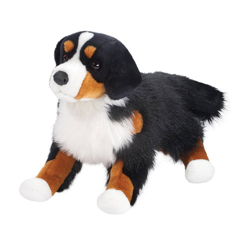 Alps Bernese Dog Large