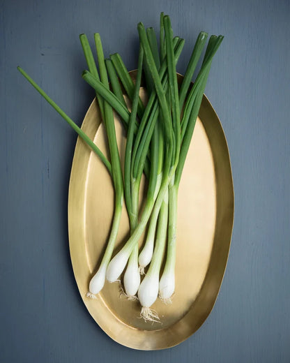 Brass Oval Tray