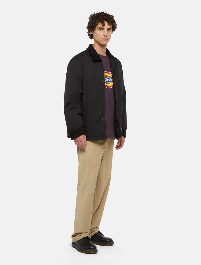 Dickies Plains Nero Uomo