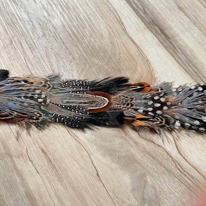 Falcon Feather Hat Band