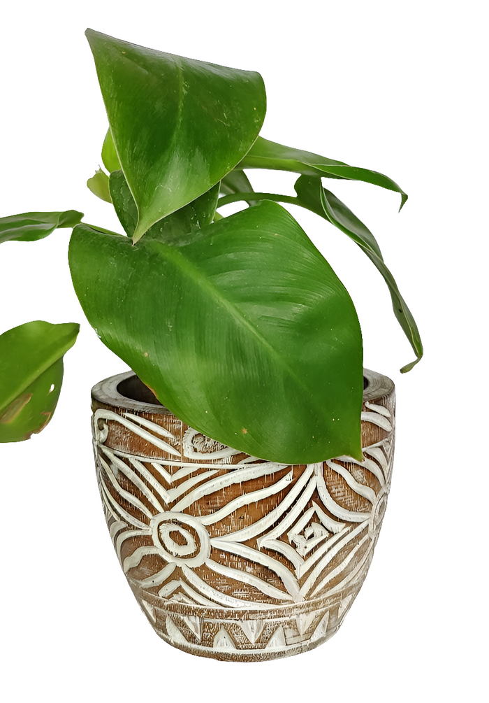 Home Decor: Hand Carved tribal floral design decorative wooden bowl.