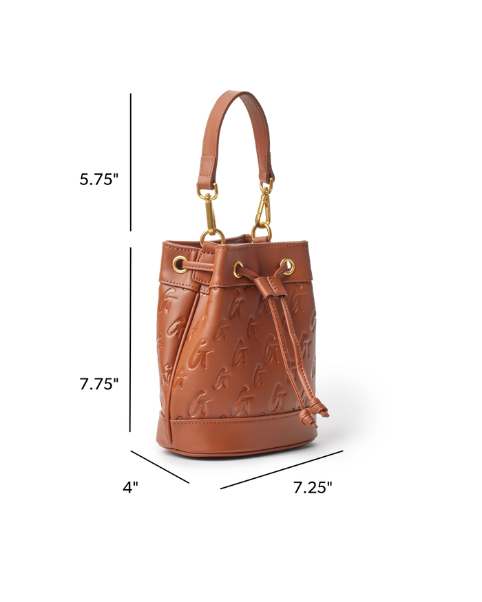 Brown mini monogram bucket bag featuring a drawstring closure and gold-tone hardware, perfect for stylish outings.