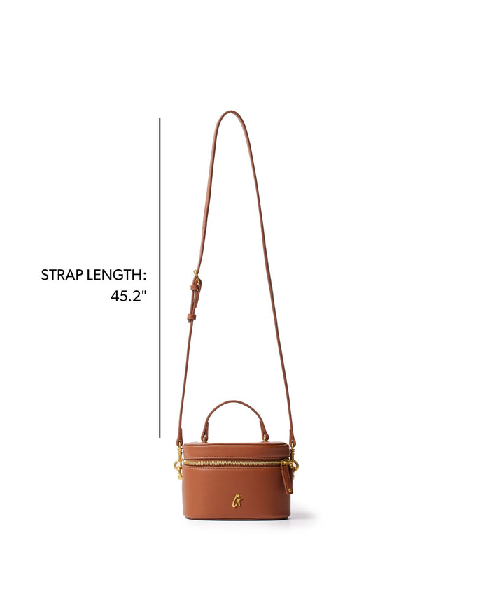 Mini smooth gold vanity bag in brown with a detachable strap, perfect for stylish, on-the-go organization.