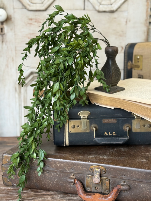 Nottswood Leaves Hanging Greenery | 28"