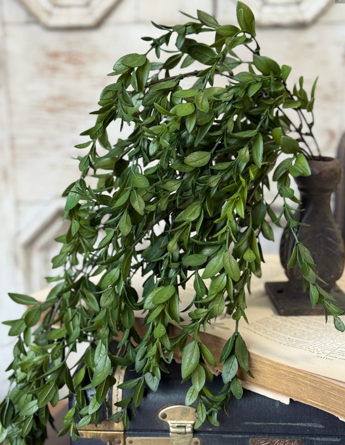 Nottswood Leaves Hanging Greenery | 28"