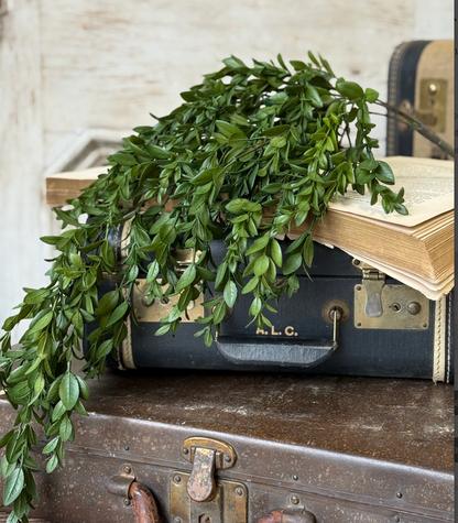 Nottswood Leaves Hanging Greenery | 28"