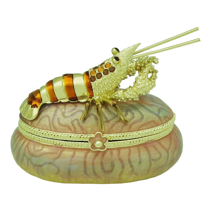 Shrimp Atop Vault