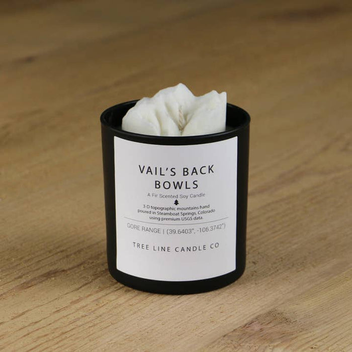 Vail Back Bowl Candle - Fir