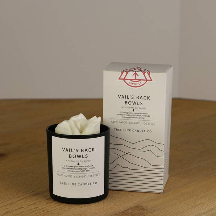 Vail Back Bowl Candle - Fir