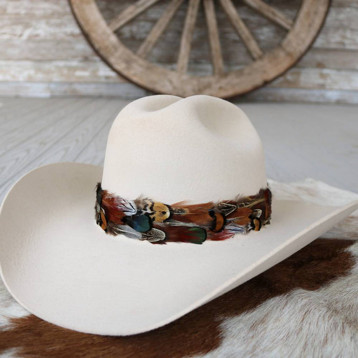 Vistoso Feather Hat Band